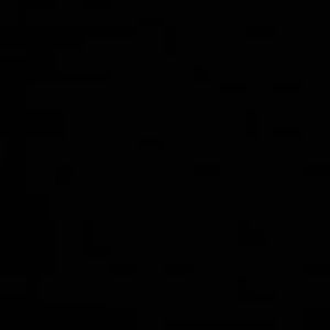 Meet your Posher, Lorriann